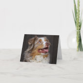 オーストラリアの羊飼いのオーストラリアの小犬愛こんにちは カード (正面)