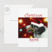 オーストラリアの羊飼いのクリスマスの精神 シーズンポストカード (正面/裏面)