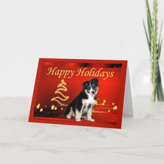 オーストラリアの羊飼いのクリスマスカードスター シーズンカード (正面)