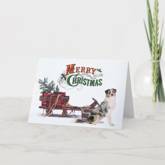 オーストラリアの羊飼いのクリスマス シーズンカード (正面)