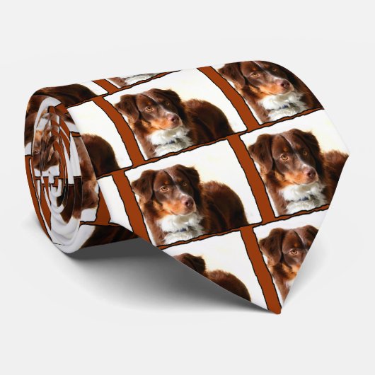 オーストラリアの羊飼いのタイ ネクタイ (ロール)