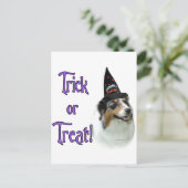 オーストラリアの羊飼いのトリック ポストカード (スタンド正面)