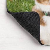 オーストラリアの羊飼いのマウスパッド マウスパッド (コーナー)