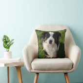 オーストラリアの羊飼いの写真の枕 クッション (椅子)