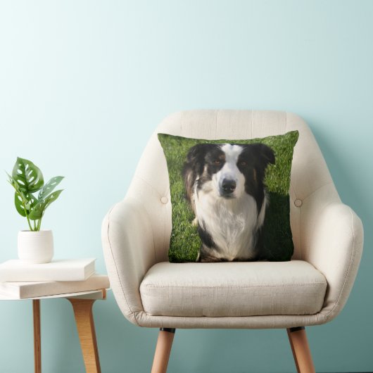 オーストラリアの羊飼いの写真の枕 クッション (椅子)