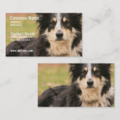 オーストラリアの羊飼いの名刺 名刺 (正面/裏面)