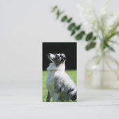 オーストラリアの羊飼いの名刺 名刺 (スタンド正面)