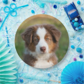 オーストラリアの羊飼いの子犬のポートレート、幸せなパーティ ペーパープレート (パーティー)