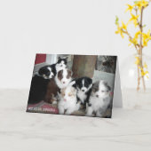 オーストラリアの羊飼いの子犬の挨拶状 カード (黄色い花)