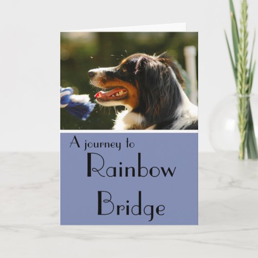 オーストラリアの羊飼いの悔やみや弔慰カード カード (正面)