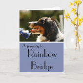 オーストラリアの羊飼いの悔やみや弔慰カード カード (黄色い花)