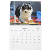オーストラリアの羊飼いの敏捷のカレンダー カレンダー (2月 2027)