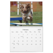 オーストラリアの羊飼いの敏捷18か月の壁掛けカレンダー カレンダー (2月 2027)