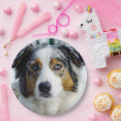 オーストラリアの羊飼いの青いmerle 3 ペーパープレート (パーティー)