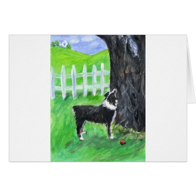 オーストラリアの羊飼いはリスを見ます (正面横)