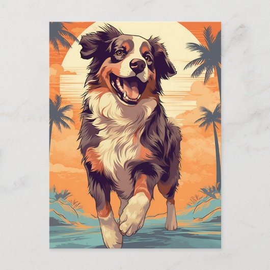 オーストラリアの羊飼いアットザトロピカルビーチ ポストカード (正面)