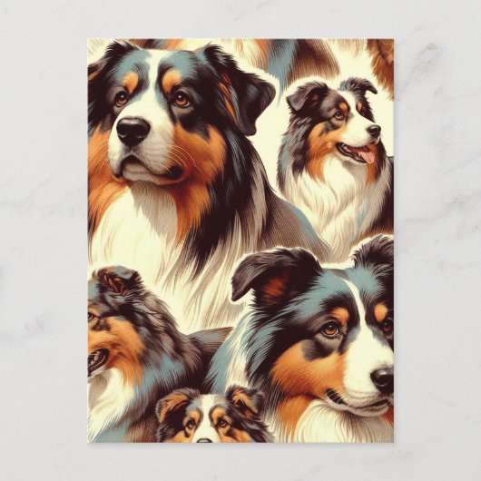 オーストラリアの羊飼いシ絵画ームレス ポストカード (正面)