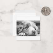 オーストラリアの羊飼いパプピーbw ノートカード (正面/裏面インサイチュ)