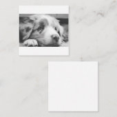 オーストラリアの羊飼いパプピーbw ノートカード (正面/裏面)