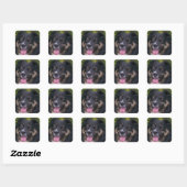 オーストラリアの羊飼いブラックトリ スクエアシール (シート)