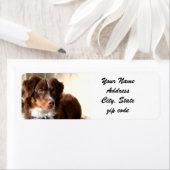 オーストラリアの羊飼い住所 シール (インサイチュ)