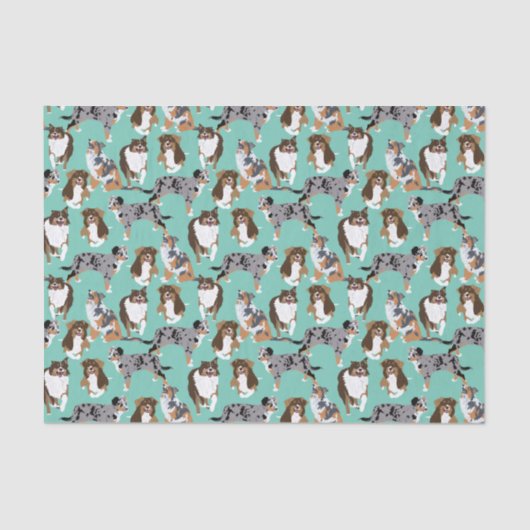 オーストラリアの羊飼い犬のコラージュ 薄葉紙 (正面)