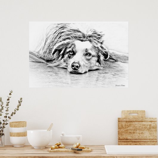 オーストラリアの羊飼い犬の芸術 ポスター (キッチン)