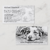 オーストラリアの羊飼い犬の芸術 名刺 (正面/裏面)