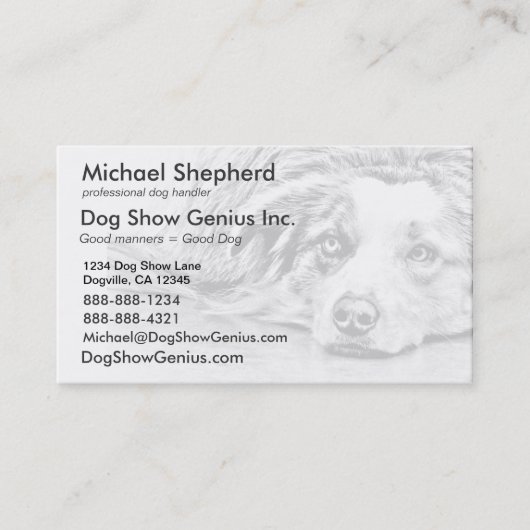 オーストラリアの羊飼い犬の芸術 名刺 (正面)