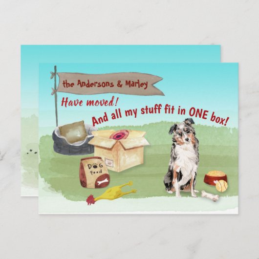 オーストラリアの羊飼い犬を新しい住所に引っ越す ポストカード (正面/裏面)