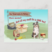 オーストラリアの羊飼い犬を新しい住所に引っ越す ポストカード (正面)