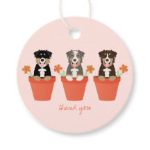 オーストラリアの羊飼い犬インフラワーポットありがとう