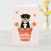 オーストラリアの羊飼い犬インフラワーポット カード (黄色い花)