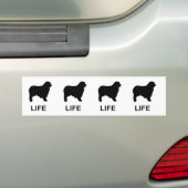 オーストラリアの羊飼い生活 バンパーステッカー (車上)