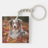 オーストラリアの羊飼い紅葉秋インスパイア キーホルダー (裏面)