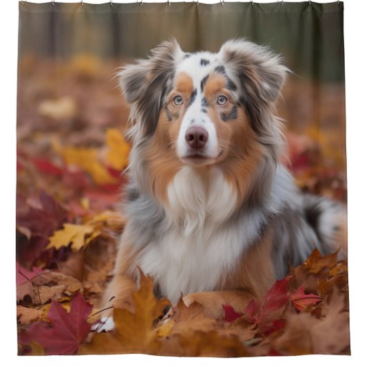 オーストラリアの羊飼い紅葉秋インスパイア シャワーカーテン (正面)