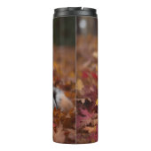 オーストラリアの羊飼い紅葉秋インスパイア タンブラー (裏面)