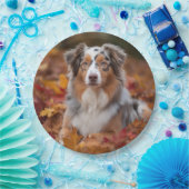 オーストラリアの羊飼い紅葉秋インスパイア ペーパープレート (パーティー)