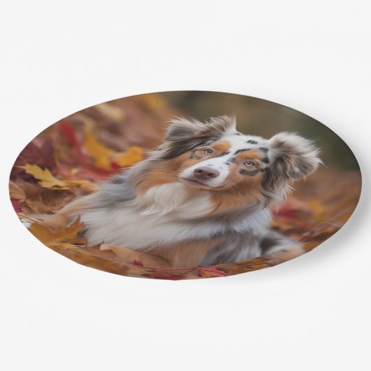 オーストラリアの羊飼い紅葉秋インスパイア ペーパープレート (アングル)