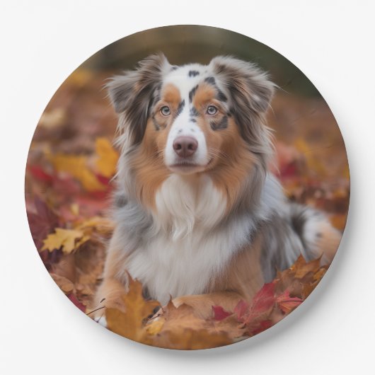 オーストラリアの羊飼い紅葉秋インスパイア ペーパープレート (正面)