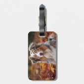 オーストラリアの羊飼い紅葉秋インスパイア ラゲッジタグ (裏面縦)