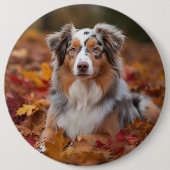 オーストラリアの羊飼い紅葉秋インスパイア 缶バッジ (正面)