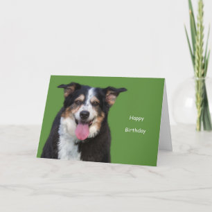 オーストラリアの羊飼い誕生日の焦点による原因 カード