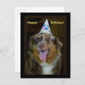 オーストラリアの羊飼い誕生日パーティードッグ インビテーションポストカード (正面/裏面)