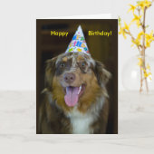 オーストラリアの羊飼い誕生日パーティードッグ カード (黄色い花)