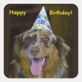 オーストラリアの羊飼い誕生日パーティードッグ スクエアシール