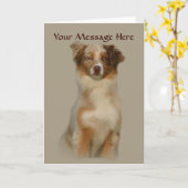 オーストラリアの羊飼い赤いグリーティングカード カード (黄色い花)