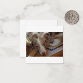 オーストラリアの羊飼い赤いメルル眠り ノートカード (正面/裏面インサイチュ)