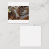 オーストラリアの羊飼い赤いメルル眠り ノートカード (正面/裏面)