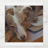 オーストラリアの羊飼い赤いメルル眠り ワインラベル (シングルラベル)